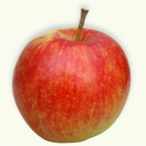 Jonagold