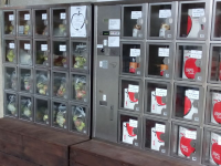 L'automate  � pommes et jus