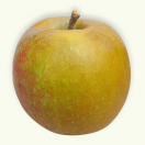 Boskoop